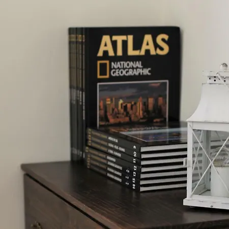 The Back Street Nest *