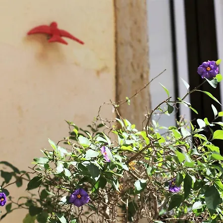 شقة The Back Street Nest